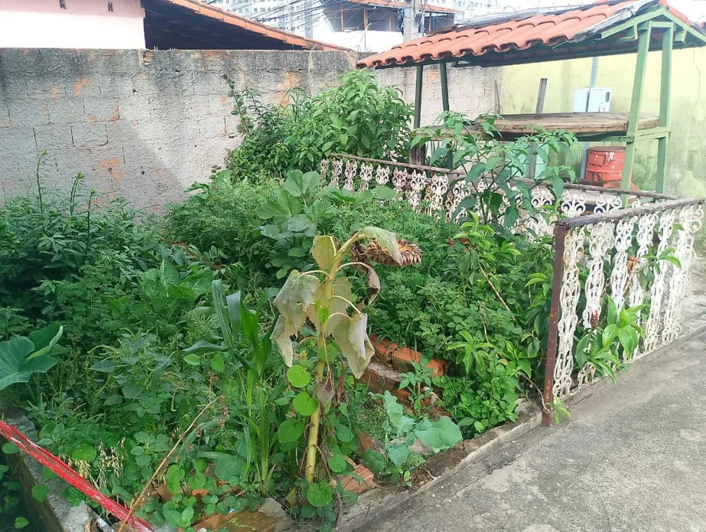 Casa, 3 quartos, 360 m² - Foto 4