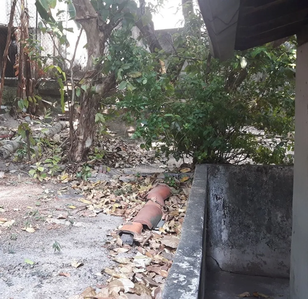 Casa, 3 quartos, 198 m² - Foto 8