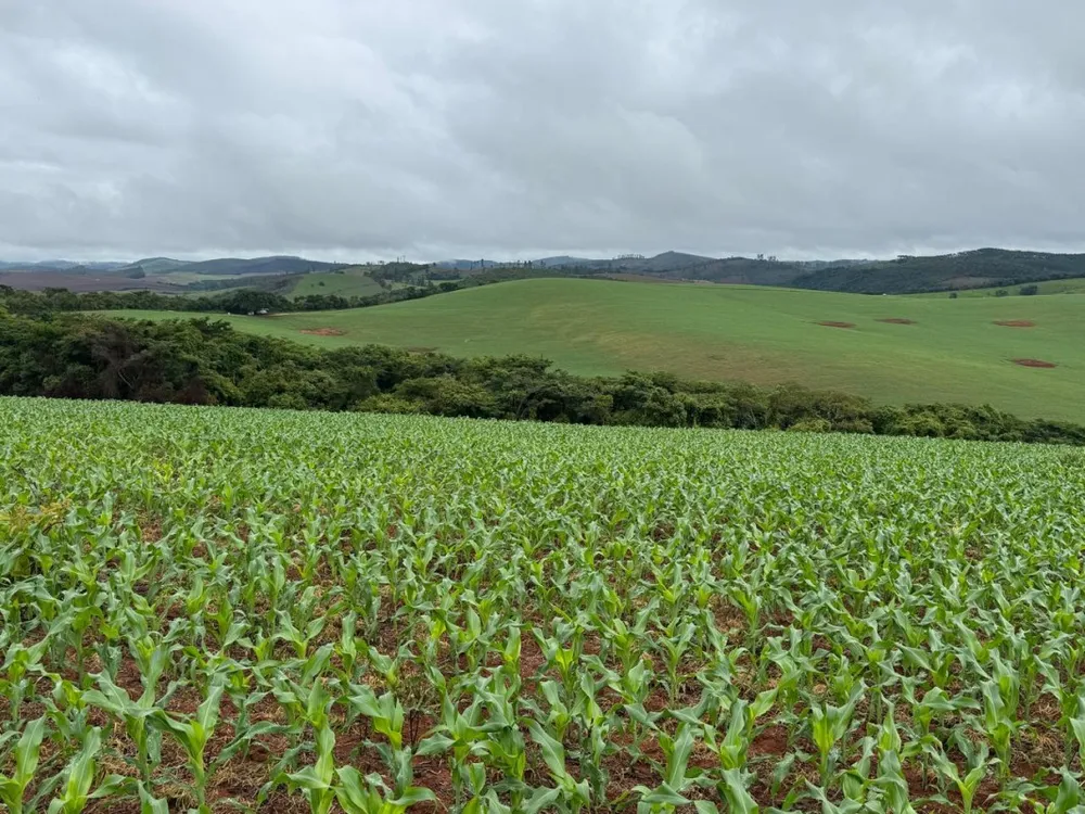 Fazenda, 500 hectares - Foto 3