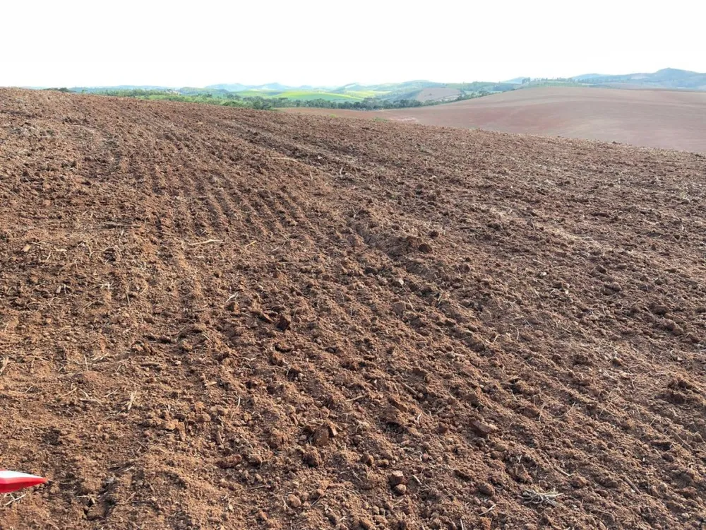Fazenda, 500 hectares - Foto 7