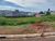 Terreno - Foto 2