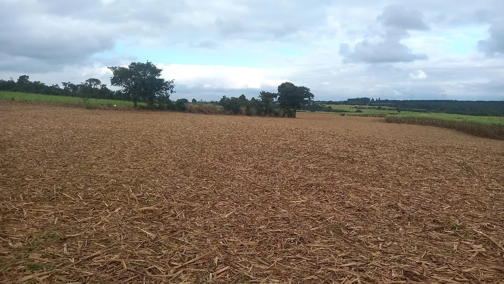 Fazenda, 90 hectares - Foto 7