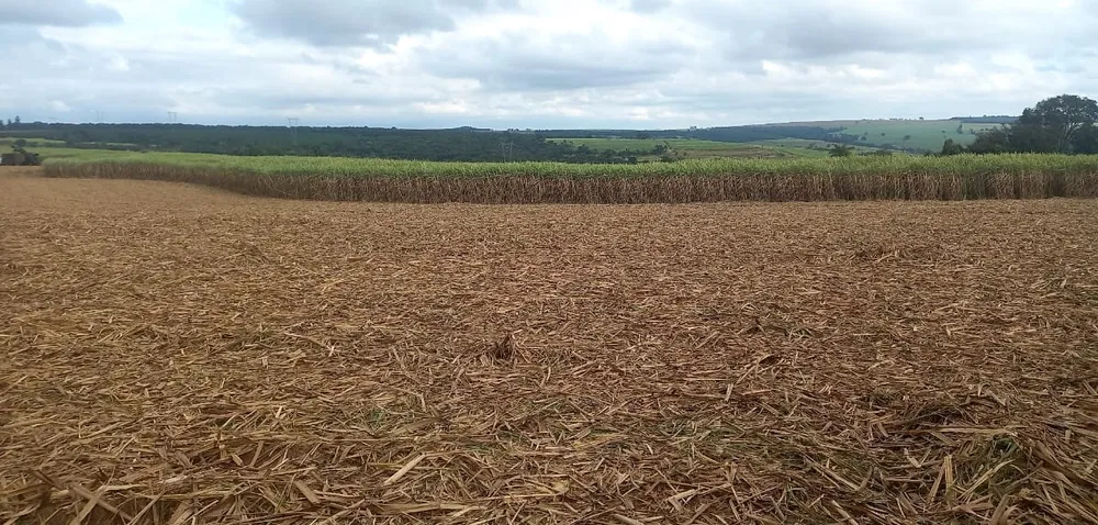 Fazenda, 90 hectares - Foto 1