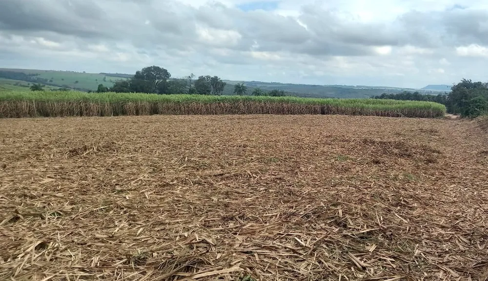 Fazenda, 90 hectares - Foto 4