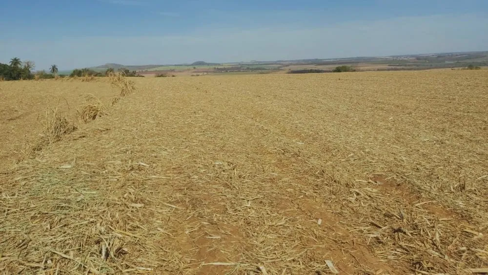 Fazenda, 90 hectares - Foto 2