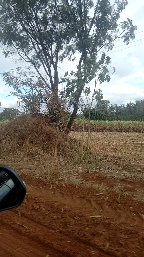 Fazenda, 90 hectares - Foto 10