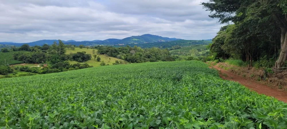 Fazenda, 40 hectares - Foto 12