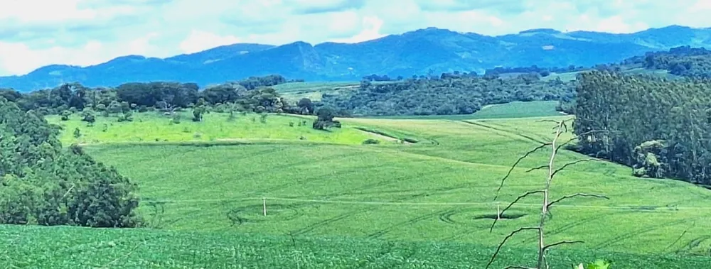 Fazenda, 40 hectares - Foto 2
