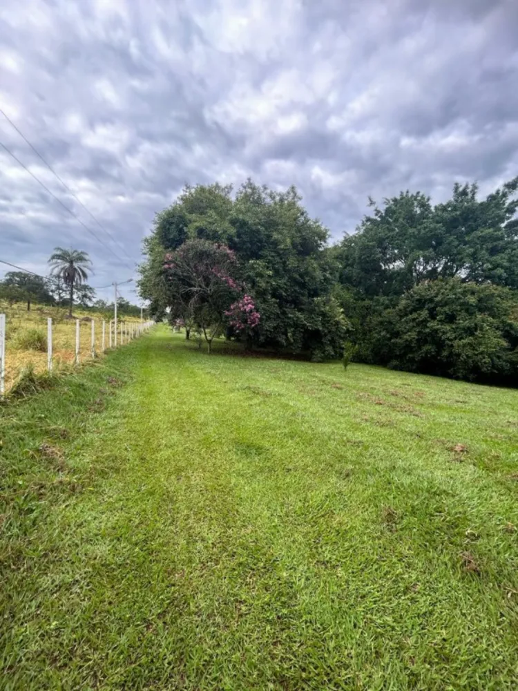 Chácara, 8 quartos, 2 hectares - Foto 7