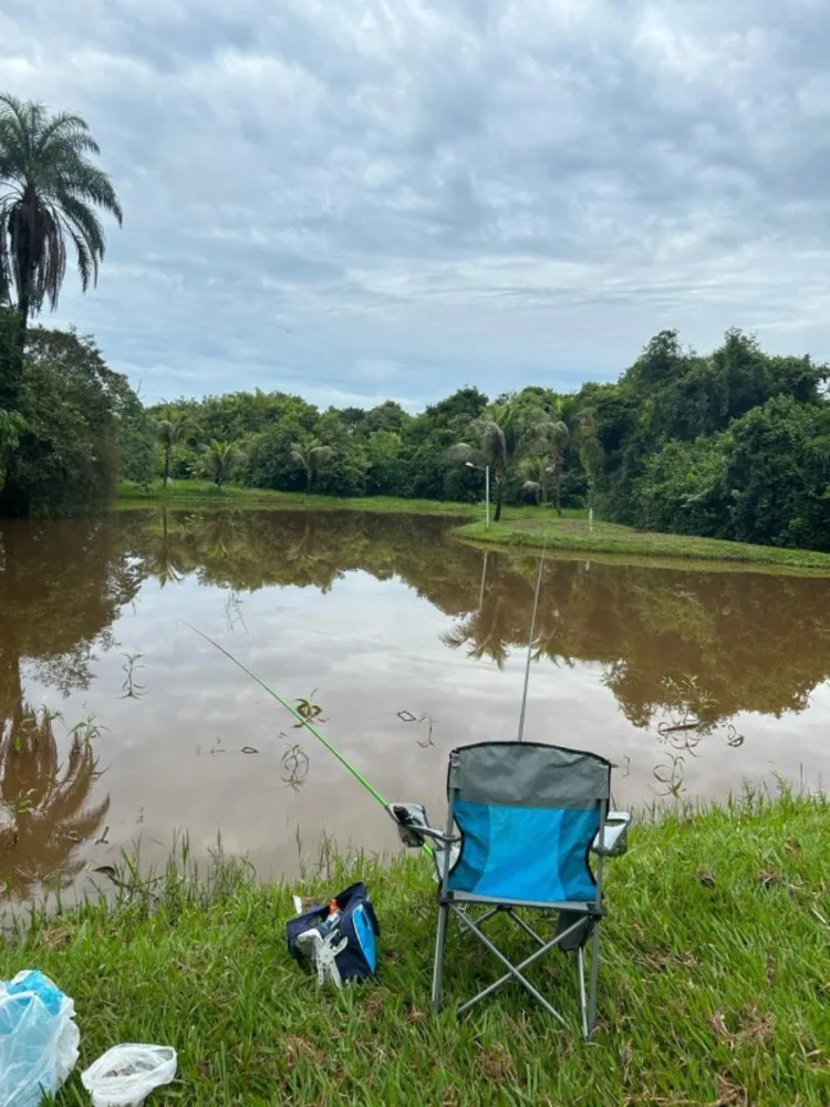 Chácara, 8 quartos, 2 hectares - Foto 4