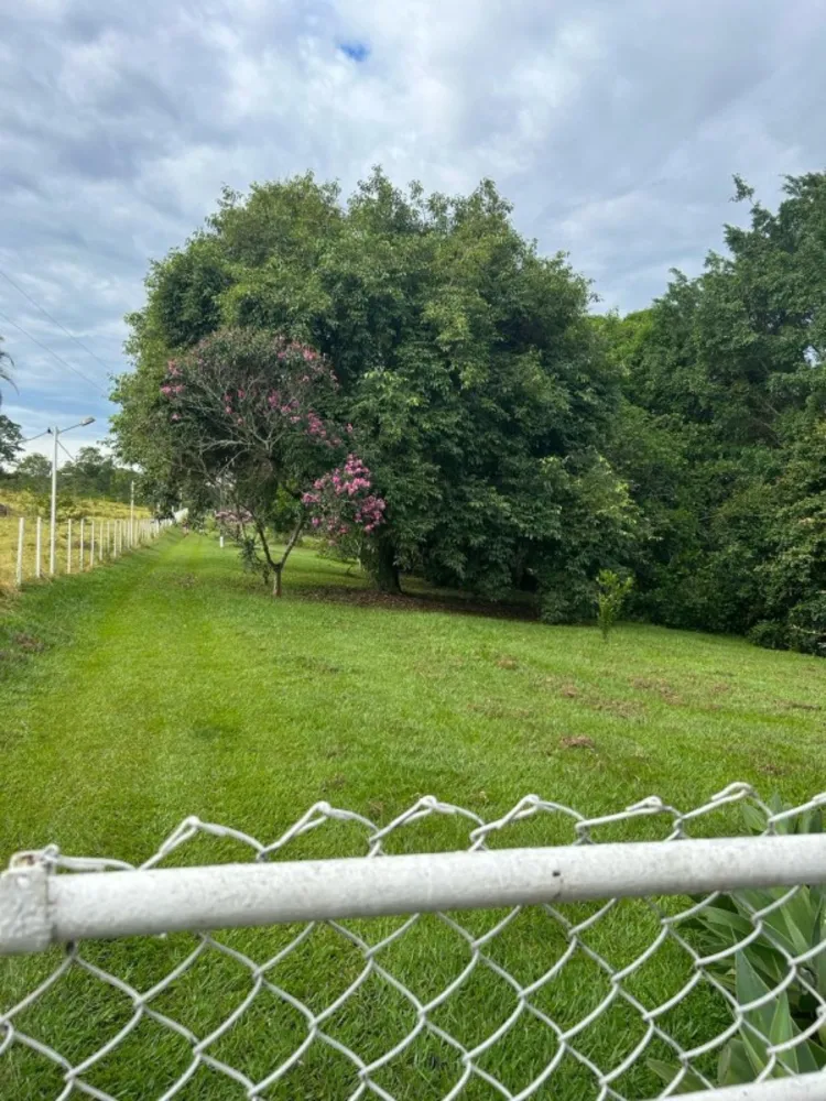 Chácara, 8 quartos, 2 hectares - Foto 18