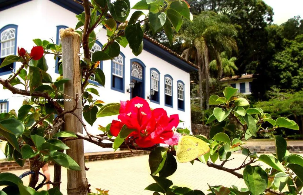 Terreno, 3151 m² - Foto 6