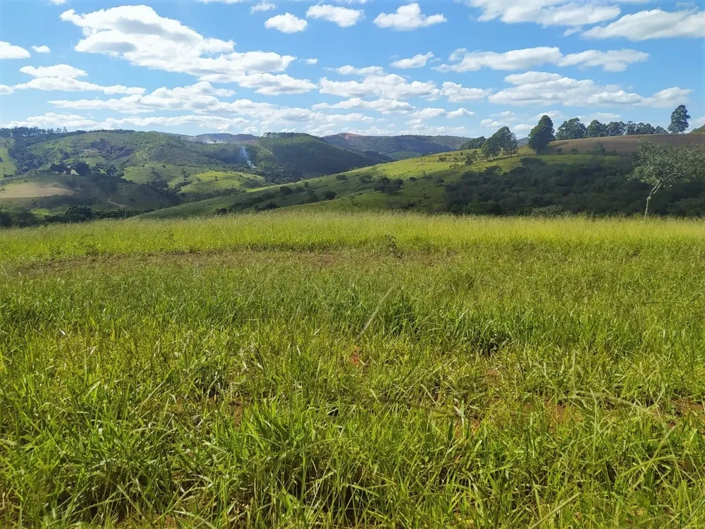 Fazenda, 325 hectares - Foto 7