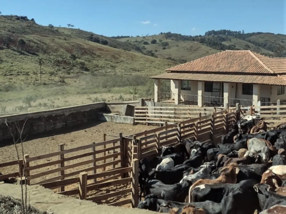 Fazenda, 325 hectares - Foto 2