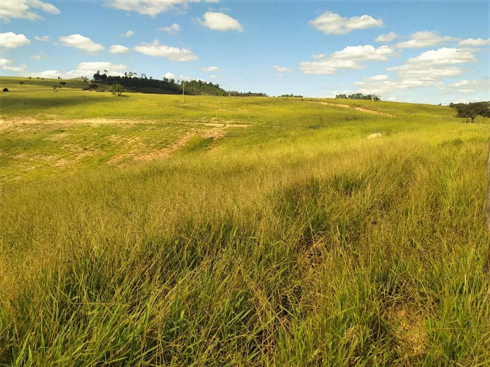 Fazenda, 325 hectares - Foto 12