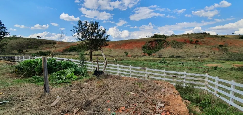 Fazenda, 325 hectares - Foto 3
