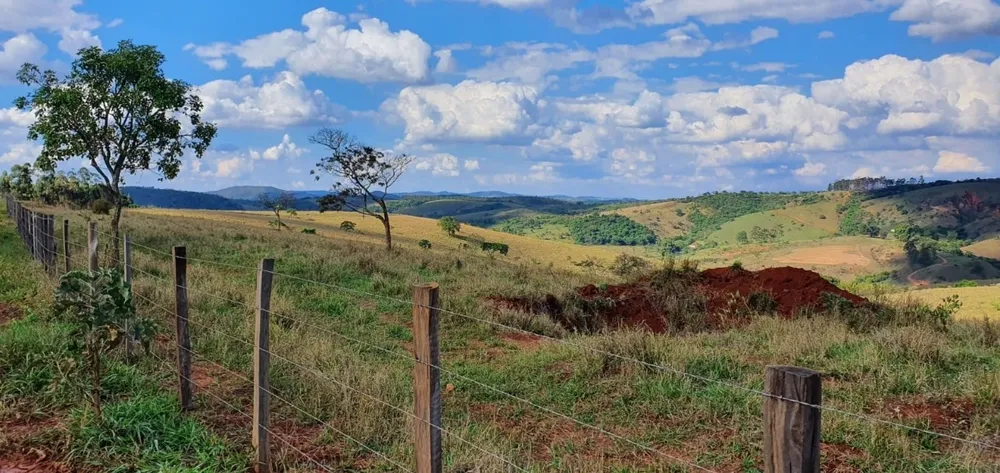 Fazenda, 325 hectares - Foto 20