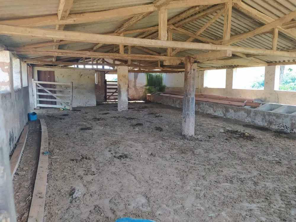 Fazenda, 325 hectares - Foto 13