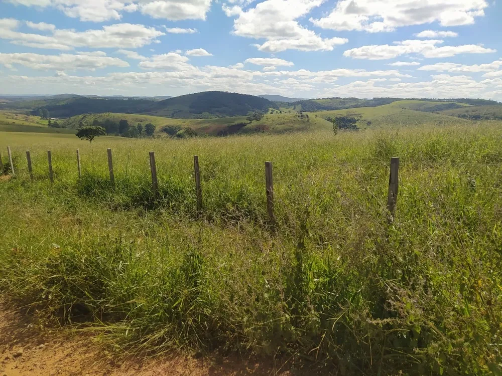 Fazenda, 325 hectares - Foto 18