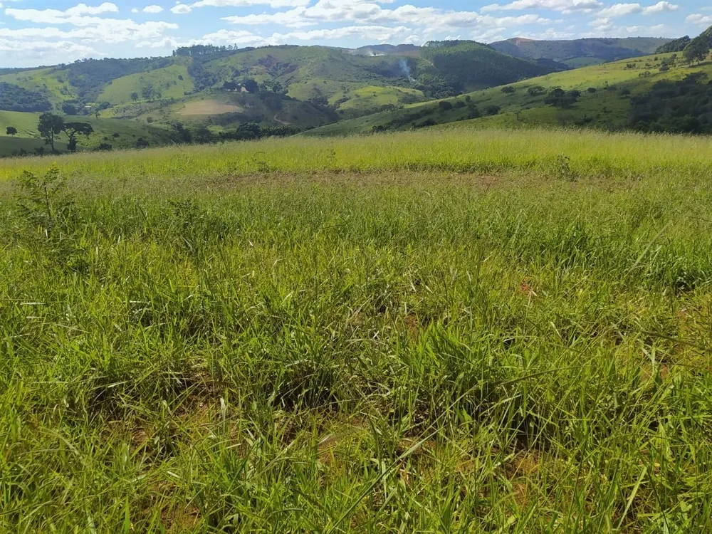 Fazenda, 325 hectares - Foto 10