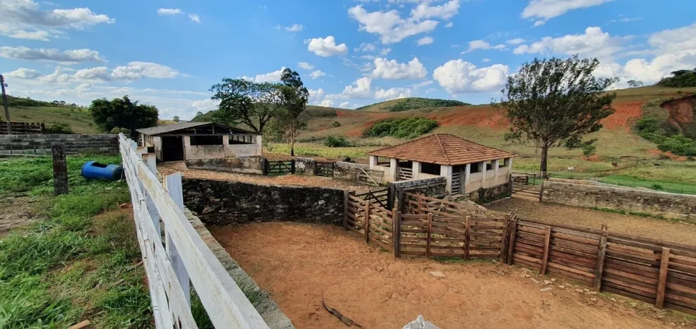 Fazenda, 325 hectares - Foto 15