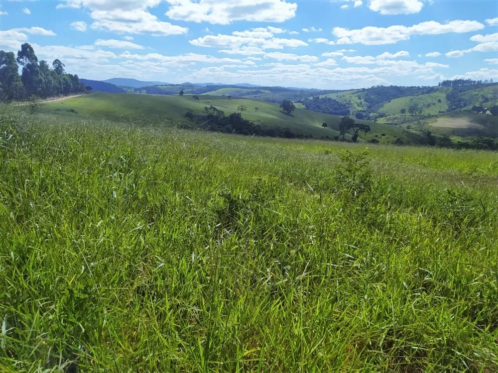 Fazenda, 325 hectares - Foto 14
