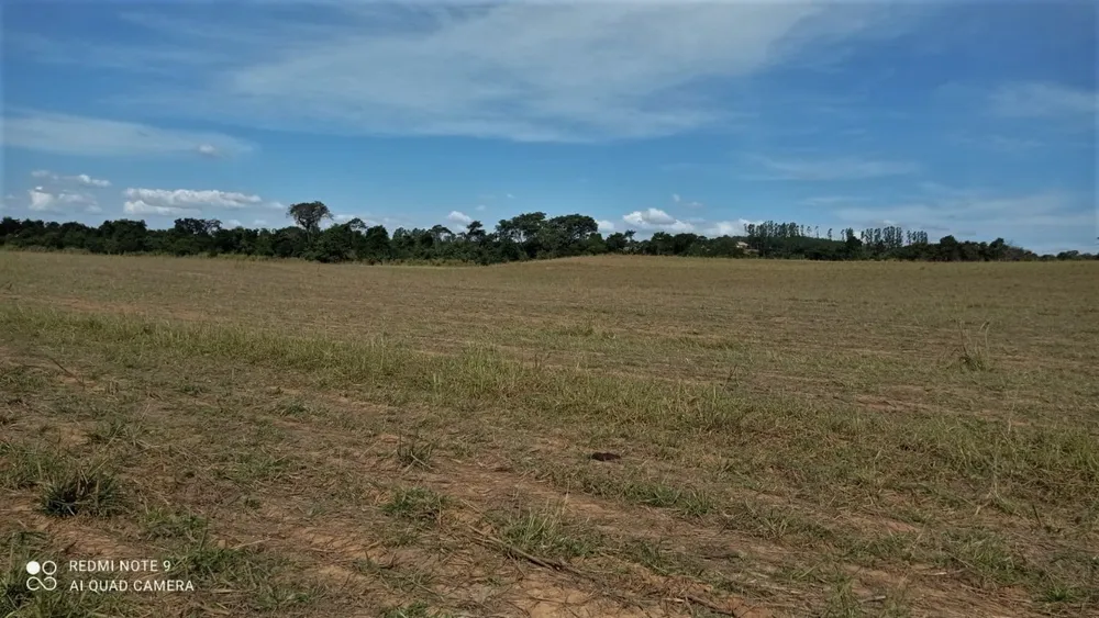 Fazenda, 325 hectares - Foto 5
