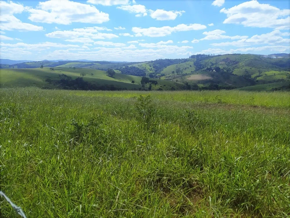 Fazenda, 325 hectares - Foto 4