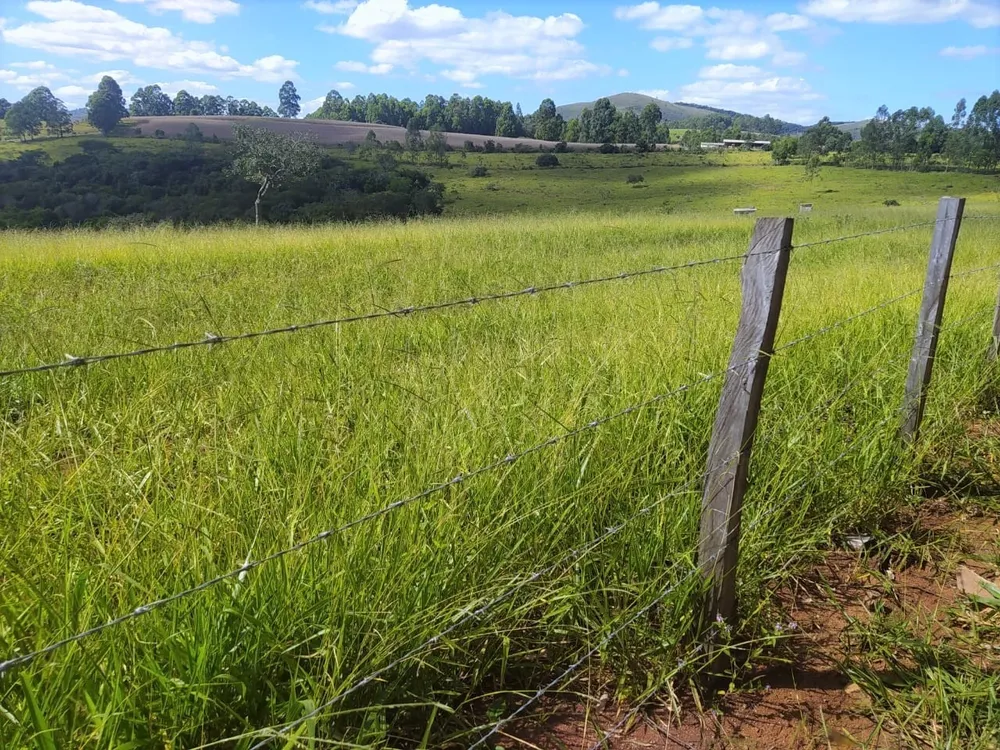 Fazenda, 325 hectares - Foto 19