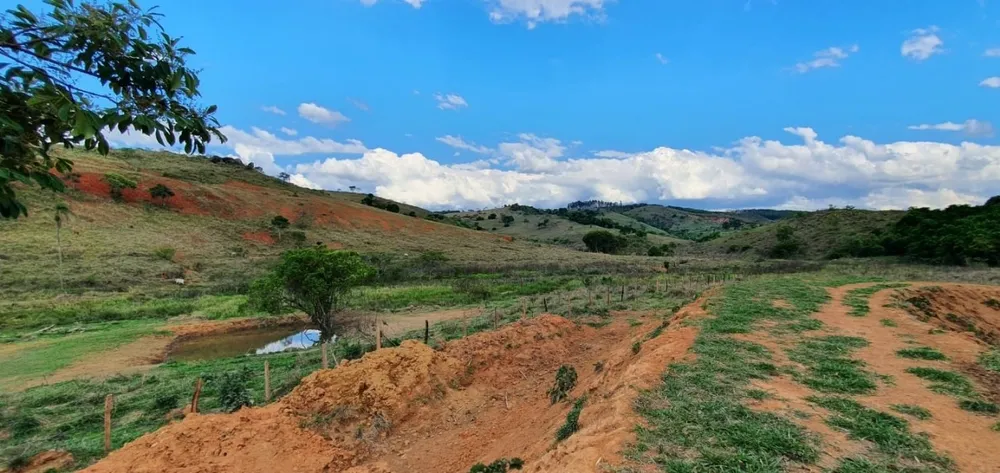 Fazenda, 325 hectares - Foto 11
