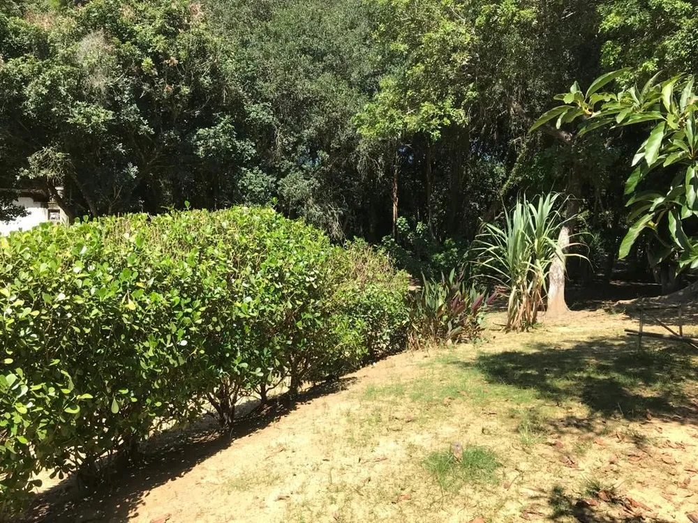 Chácara, 3 quartos - Foto 5