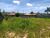 Terreno, 1000 m² - Foto 1