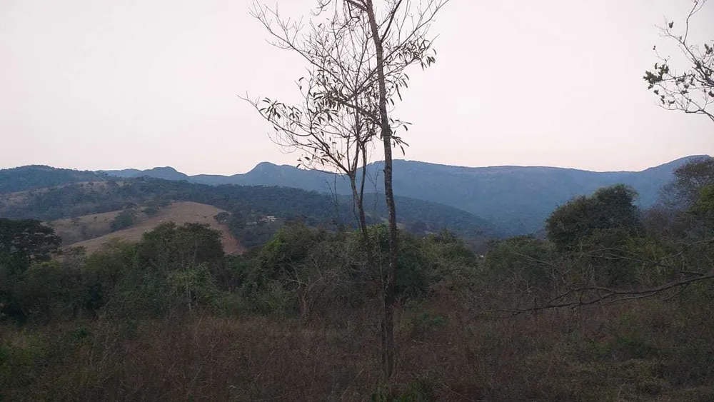 Terreno, 1000 m² - Foto 4