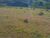 Fazenda-Sítio-Chácara, 89 hectares - Foto 1
