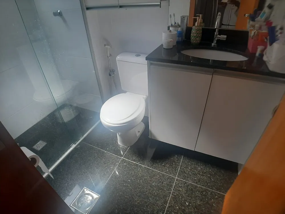 Cobertura, 3 quartos, 257 m² - Foto 6