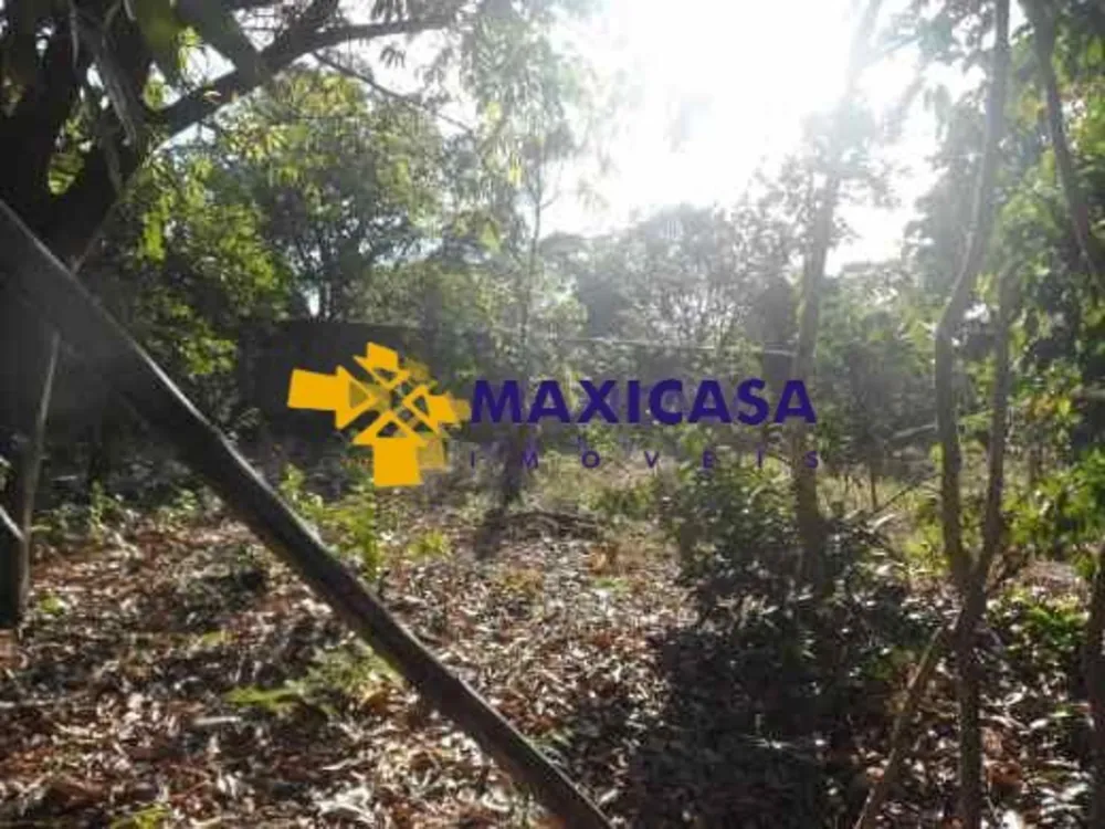 Casa, 4 quartos, 4000 m² - Foto 18