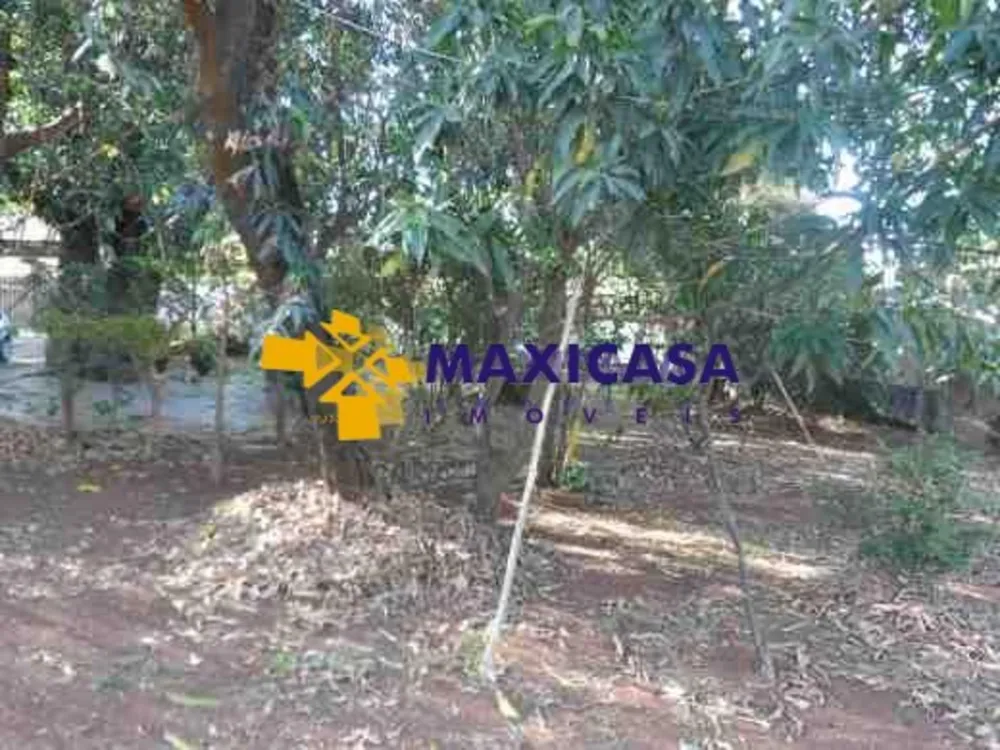 Casa, 4 quartos, 4000 m² - Foto 6