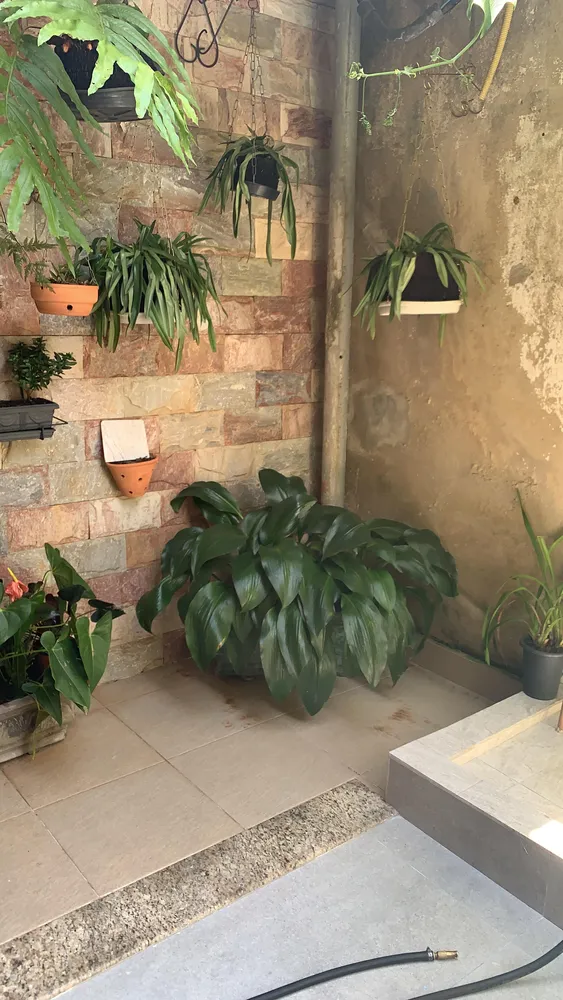 Casa, 5 quartos, 360 m² - Foto 7