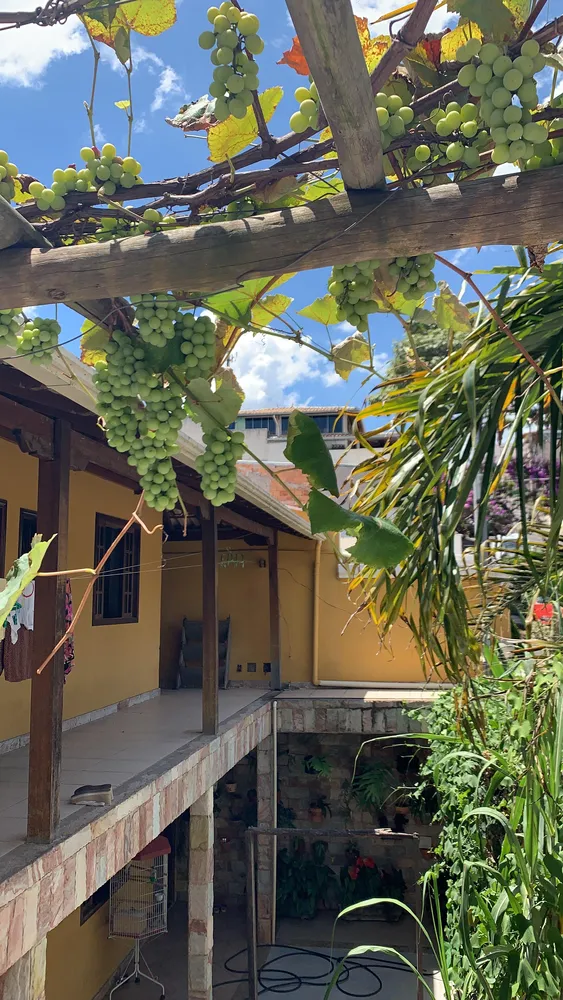 Casa, 5 quartos, 360 m² - Foto 8