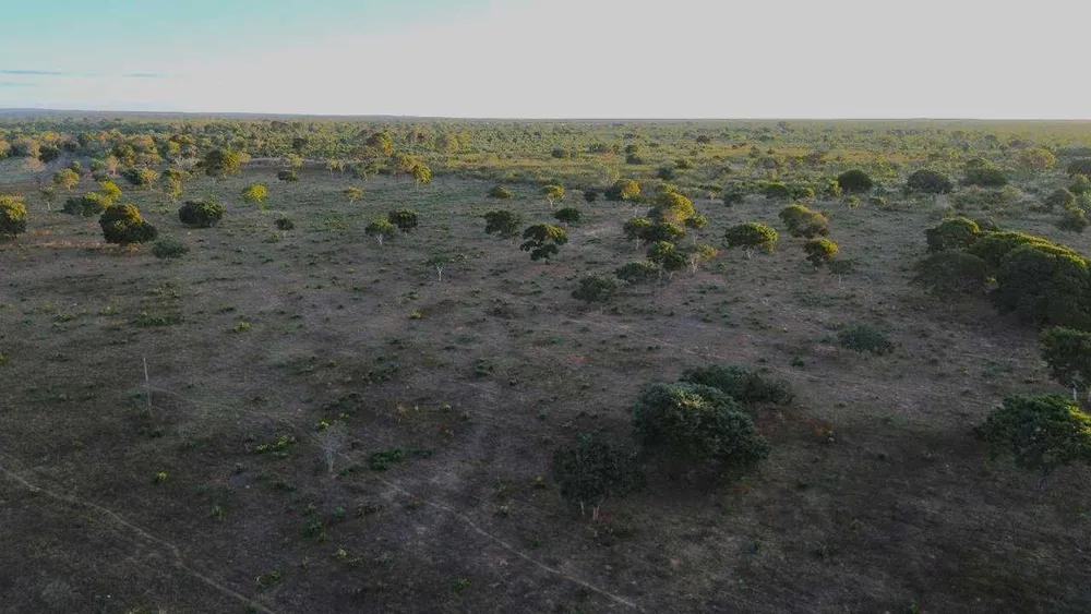 Fazenda, 335 hectares - Foto 7