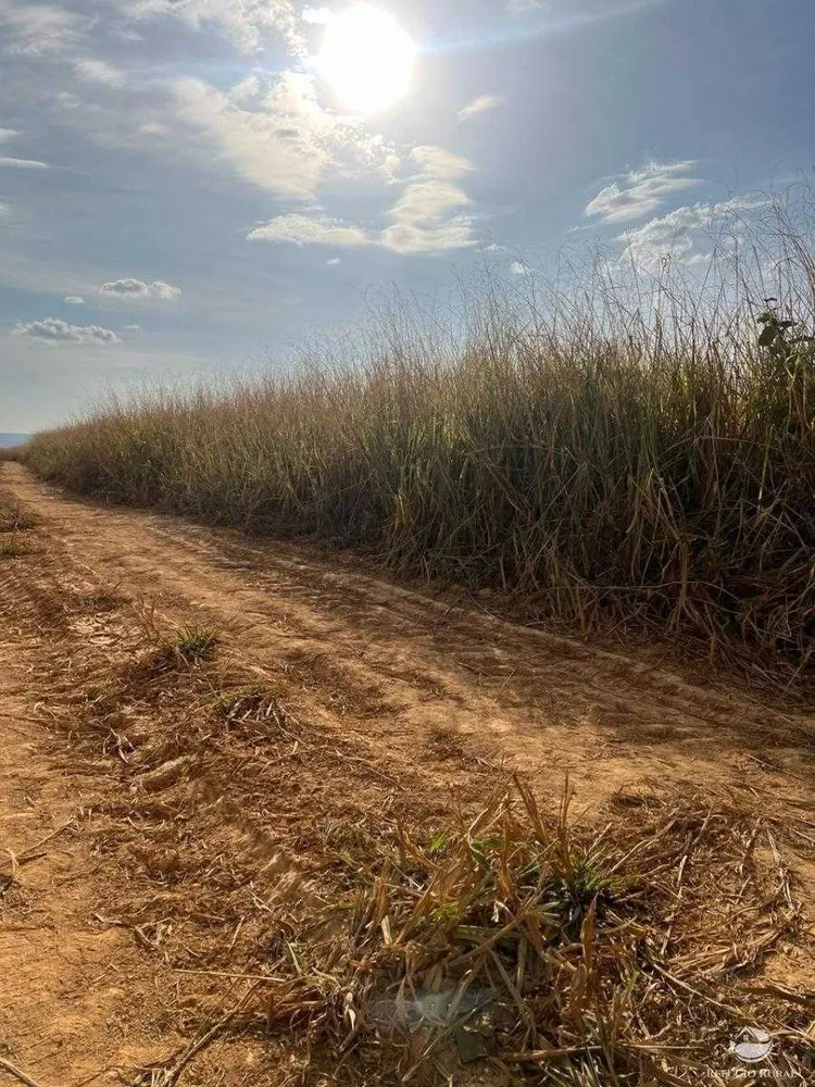 Fazenda, 335 hectares - Foto 10