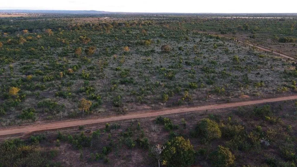 Fazenda, 335 hectares - Foto 9