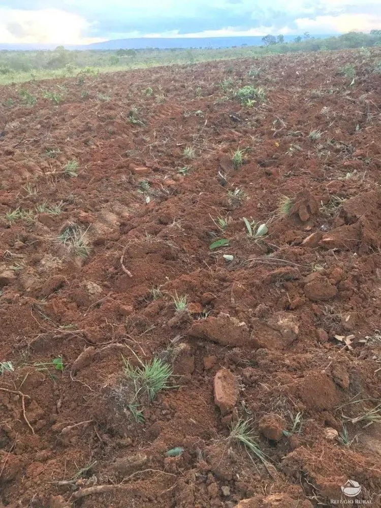 Fazenda, 335 hectares - Foto 12