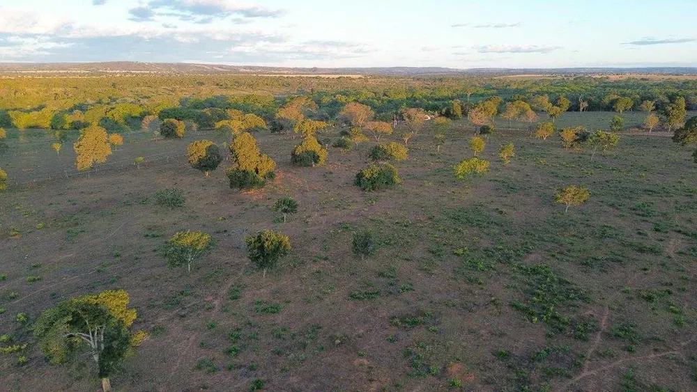 Fazenda, 335 hectares - Foto 5