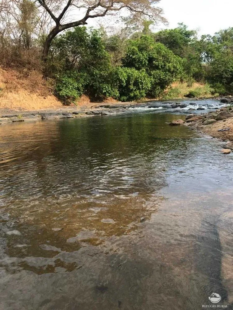 Fazenda, 335 hectares - Foto 11