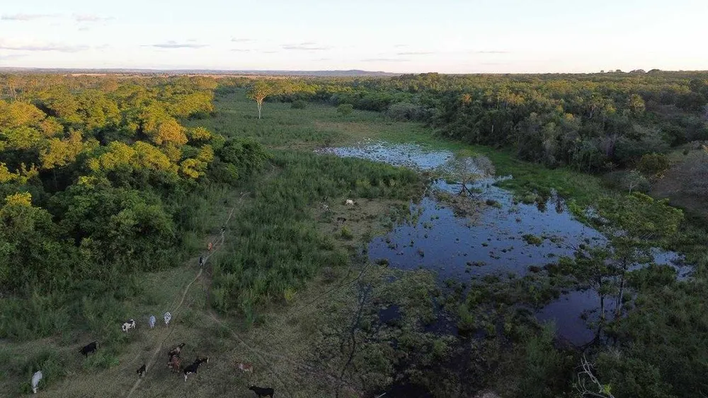 Fazenda, 335 hectares - Foto 1