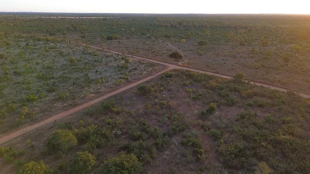 Fazenda, 335 hectares - Foto 4
