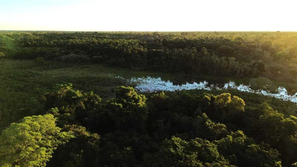Fazenda, 335 hectares - Foto 2