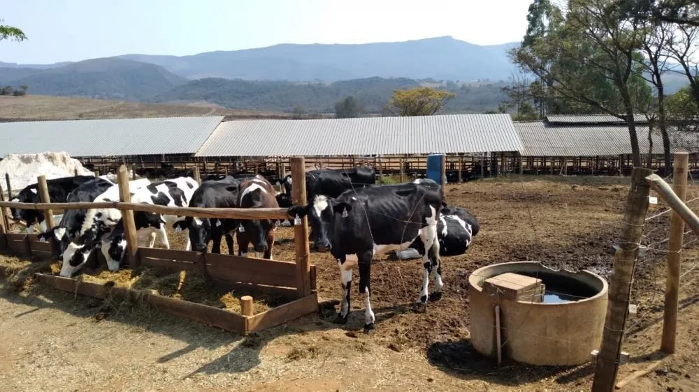Fazenda, 2 quartos - Foto 2