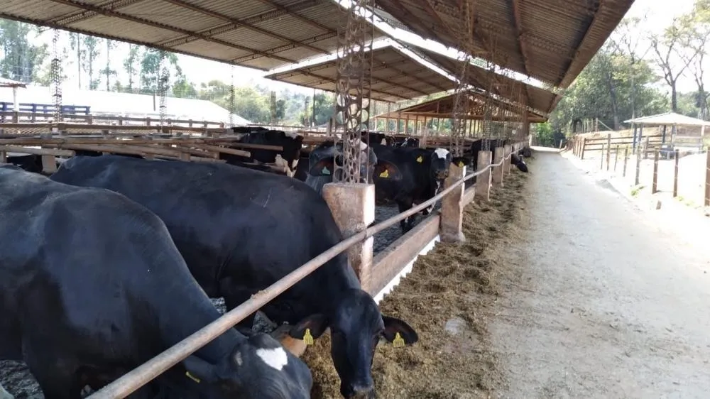 Fazenda, 2 quartos - Foto 1